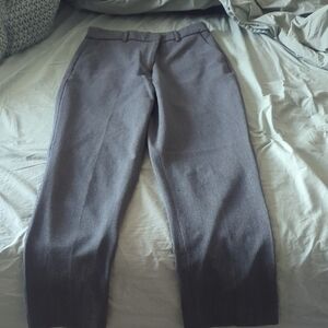 Express Charcoal Dress Pants 10 Long
